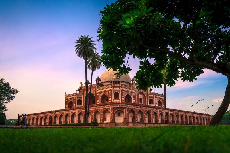 Humayun’s Tomb rests beyond a broad green lawn, with palms and a spreading shade tree breaking the building’s long red façade.