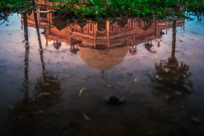 A red sandstone façade and palms appear upside down in rainwater, their reflected lines softened by ripples across the lower frame.