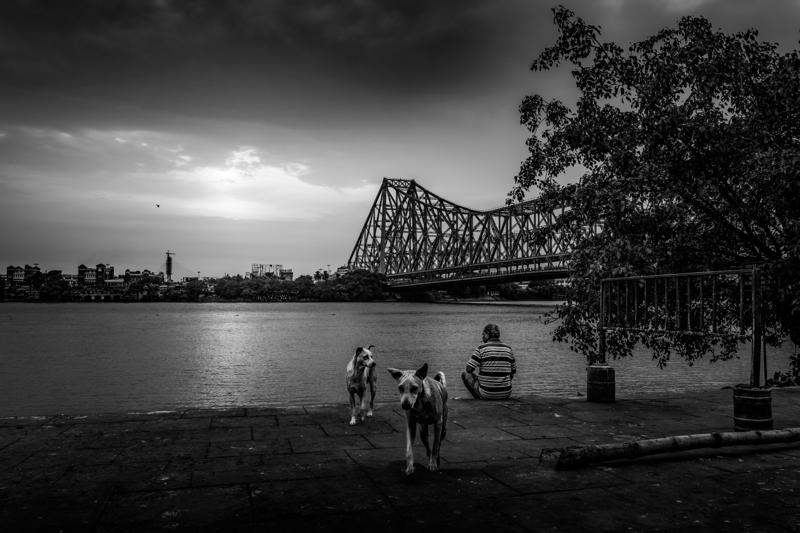 Two dogs stand near a pair of seated men, with the bridge’s dark trusses stretched across the pale grey river water behind them.