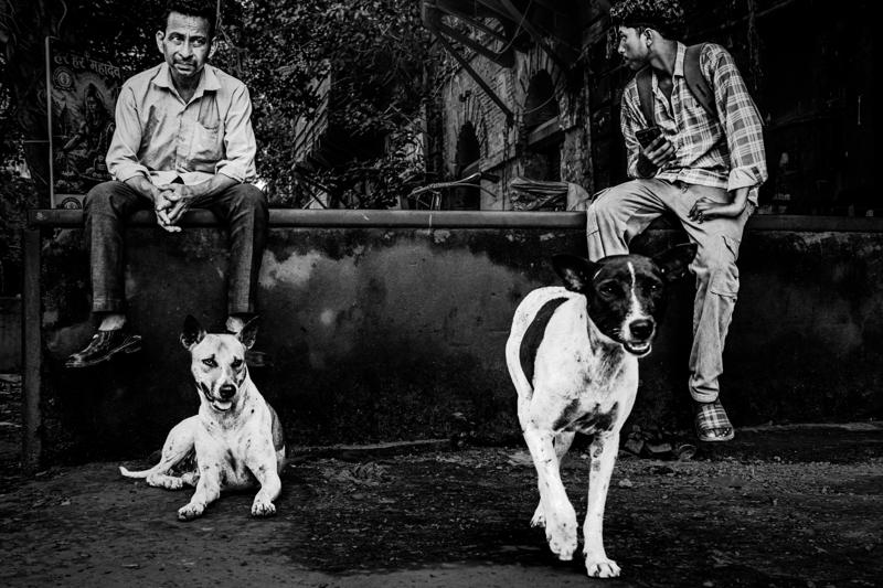 A seated man and companion share the pavement with two alert dogs, four figures gathered together against the shaded shopfront.
