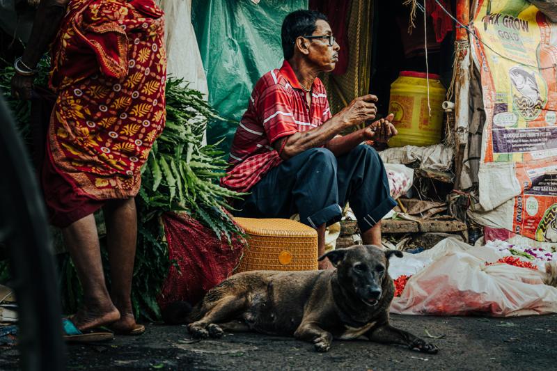 A seated seller shares the curb with shoppers and a dog, surrounded by greens, baskets and the dark market frontage.