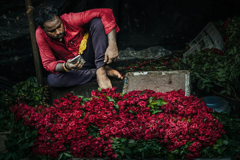 A man in a vivid shirt sorts blossoms beside a bed of red flowers, the market wall enclosing the scene.