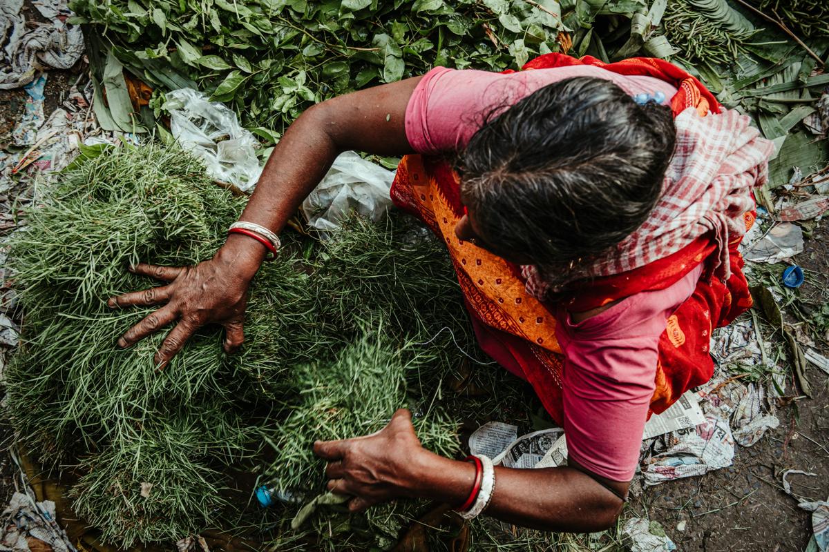 A woman reaches into a pile of greens, her red sari arcing across the frame above the bed of leaves.