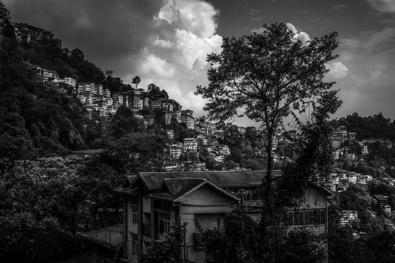 A tree rises above clustered roofs on the hillside, its dark branches separating the foreground houses from layered clouded mountains.