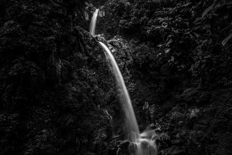 Water drops between dark rocks, cutting a bright line through the monochrome forest and falling toward the shadowed valley floor.