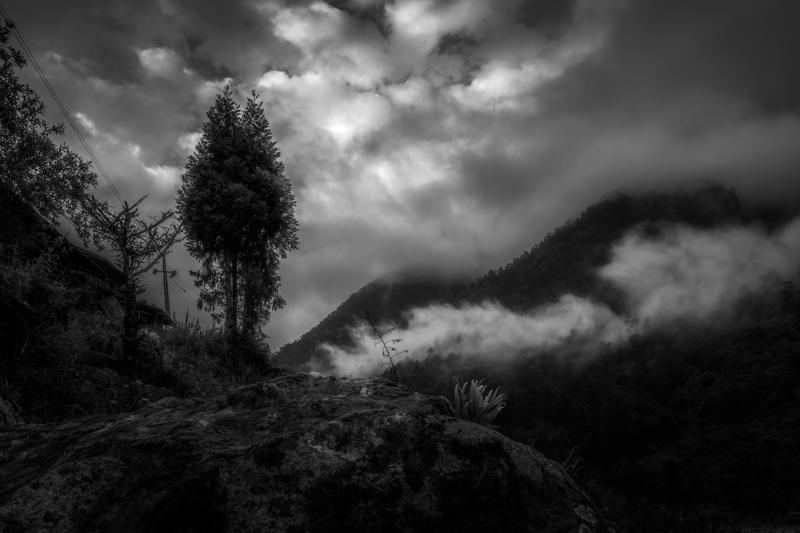 A lone tree rises above the dark hillside, its small silhouette set against bright cloud and distant monochrome ridges beyond.