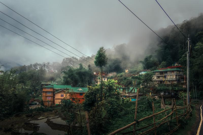 Small houses and a red roof emerge through the foggy hillside, while power lines and wet foliage hold the foreground.