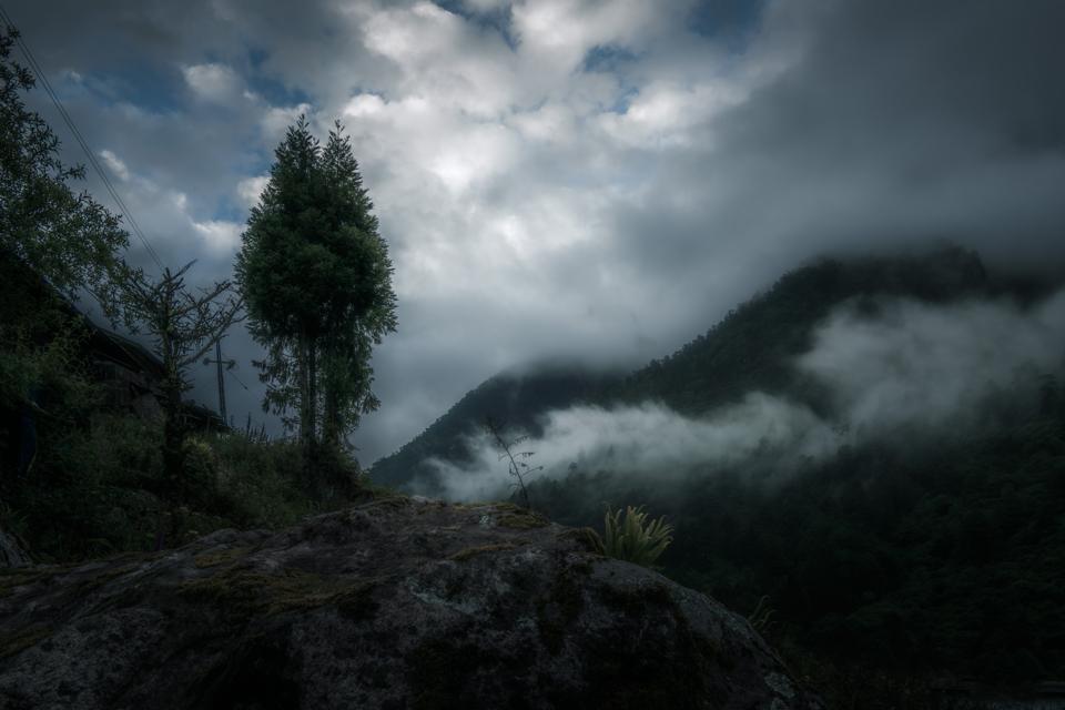 A lone tree against layers of cloud and forested hills in Sikkim.