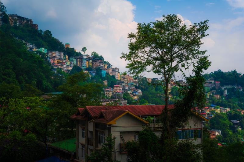 One broad tree rises above the village houses, separating the near green slope from a hazy chain of mountains beyond.
