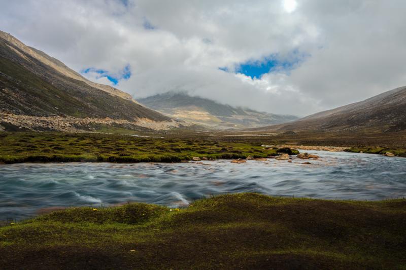 The stream reflects the mountain sky beneath a rough timber edge, while flowers enter the lower corner of the frame.