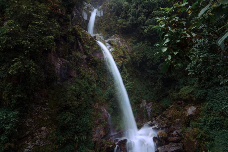 A narrow waterfall slips between dark rocks and green leaves, its white stream drawing a clear path through dense vegetation.