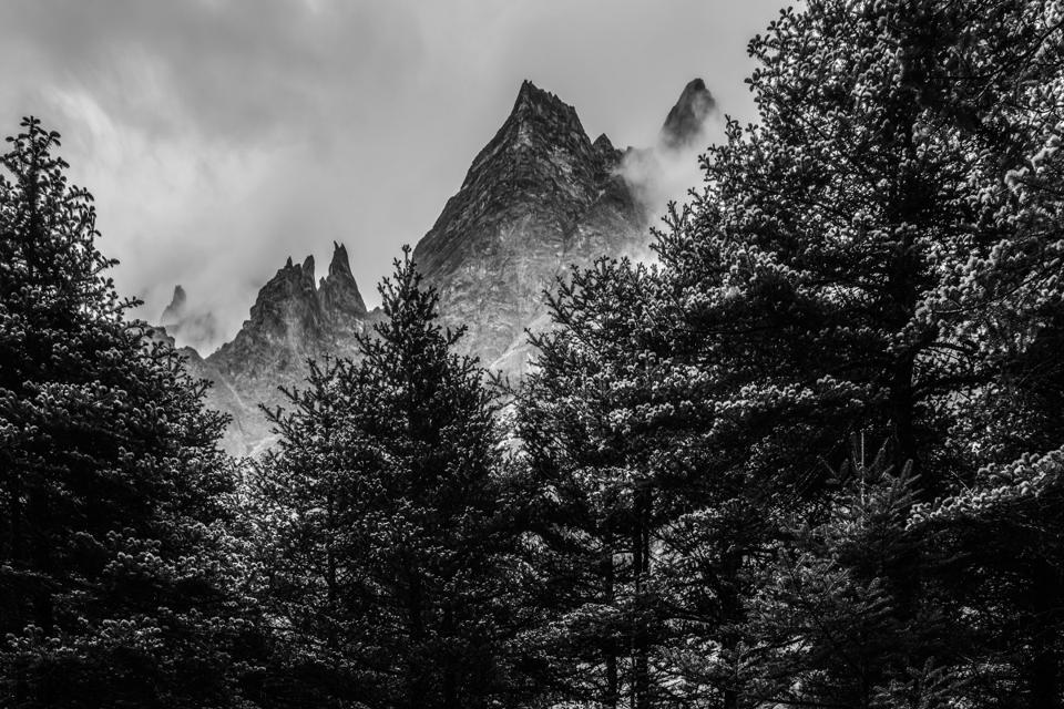 A mountain peak rises through clouds behind dark trees.