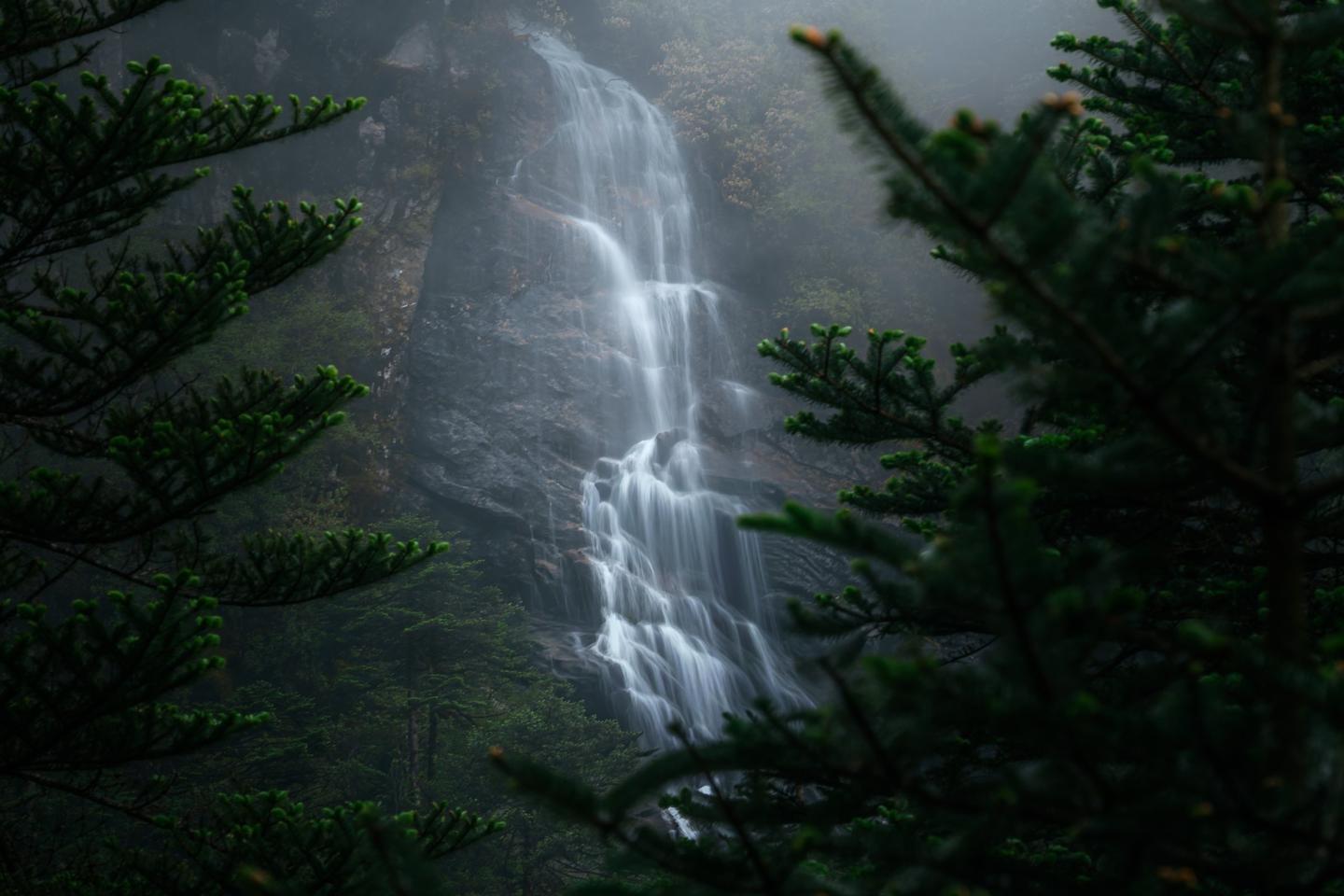 A waterfall descends through mist and dark evergreen branches.